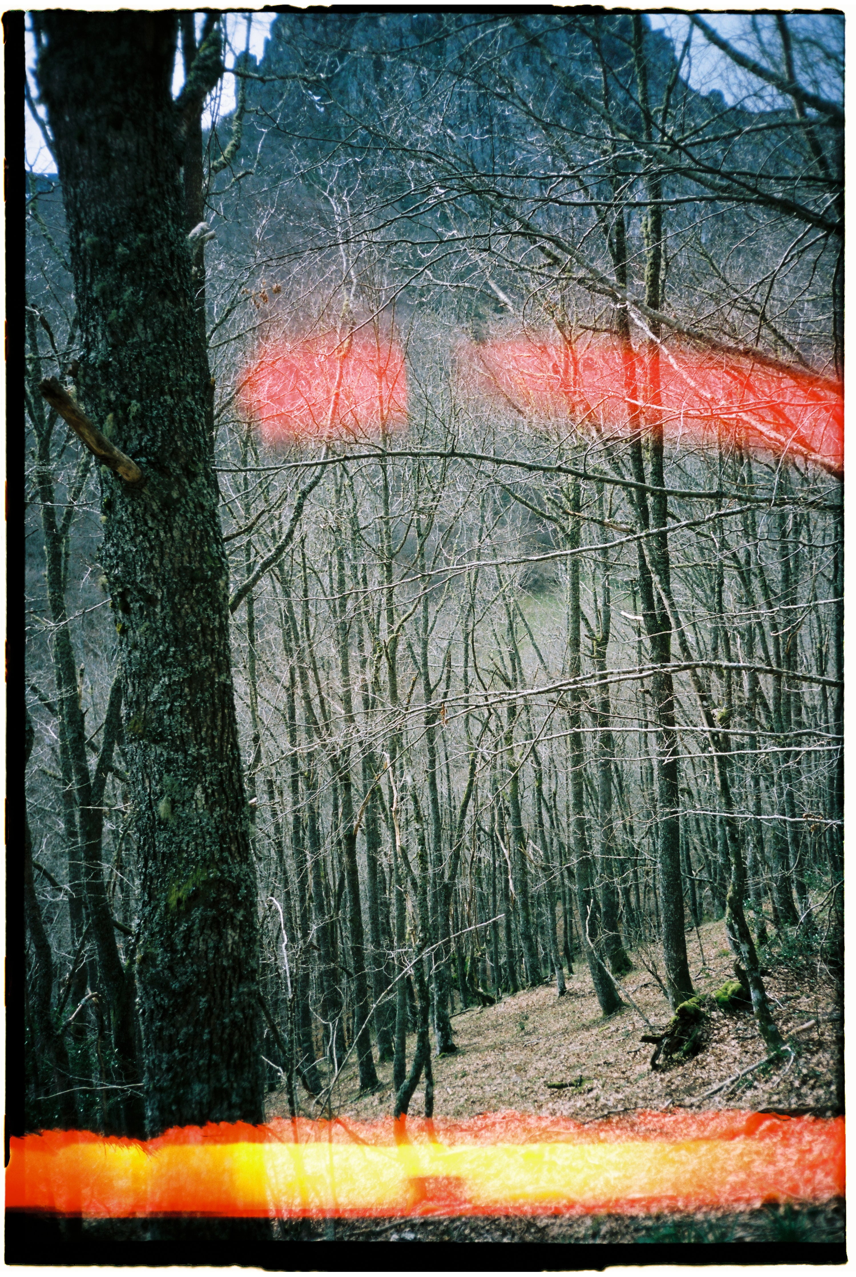 GOSPEL ESTUDIOS: Gospelario : Basajaun (Fig. 2)