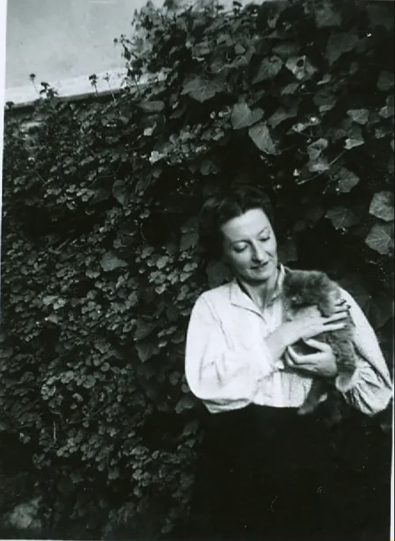 GOSPEL ESTUDIOS: (Thumbnail alt.)