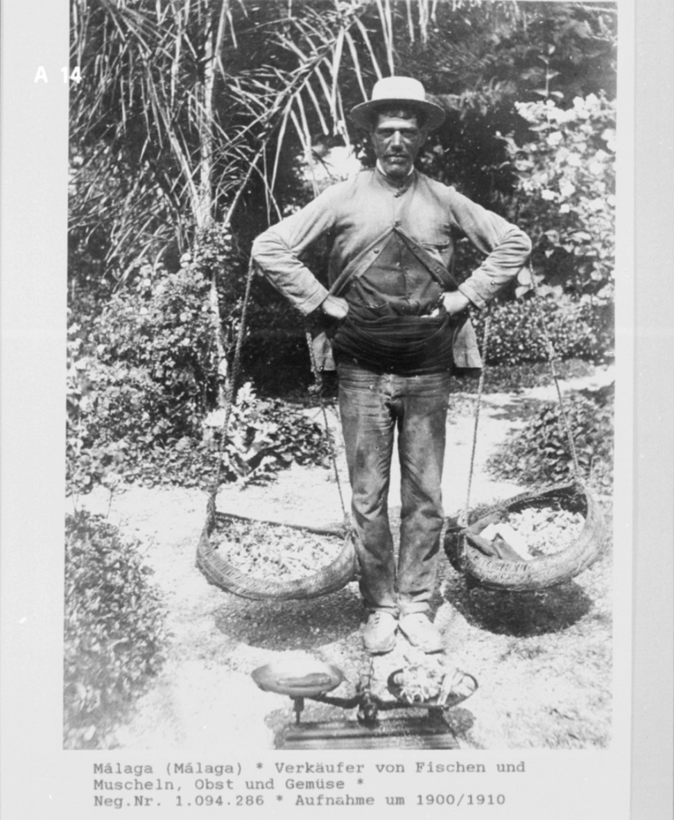 GOSPEL ESTUDIOS: Sistemas / Annexable sistema (Fig. 3)