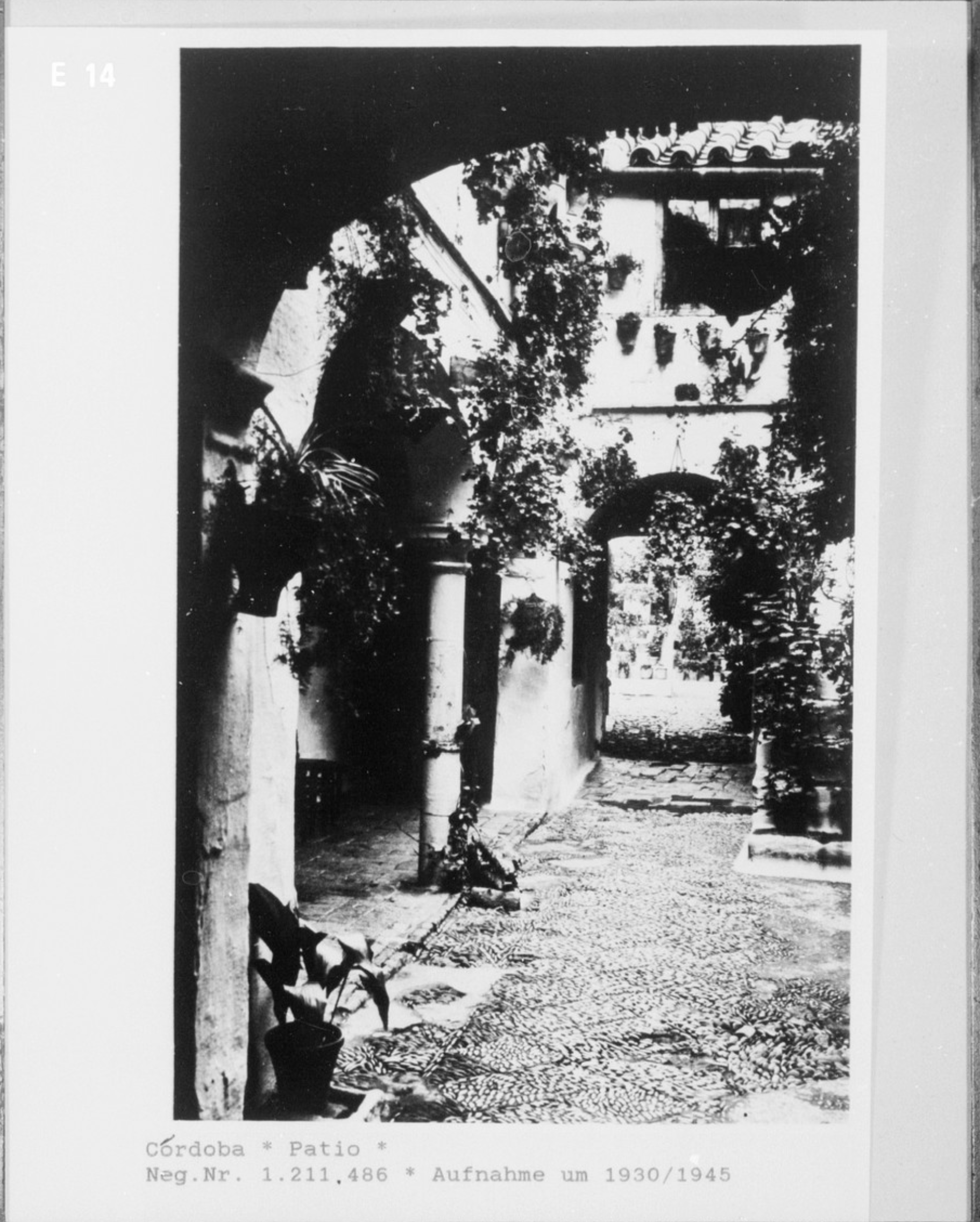 GOSPEL ESTUDIOS: Can Gospel / Patio (Fig. 3)