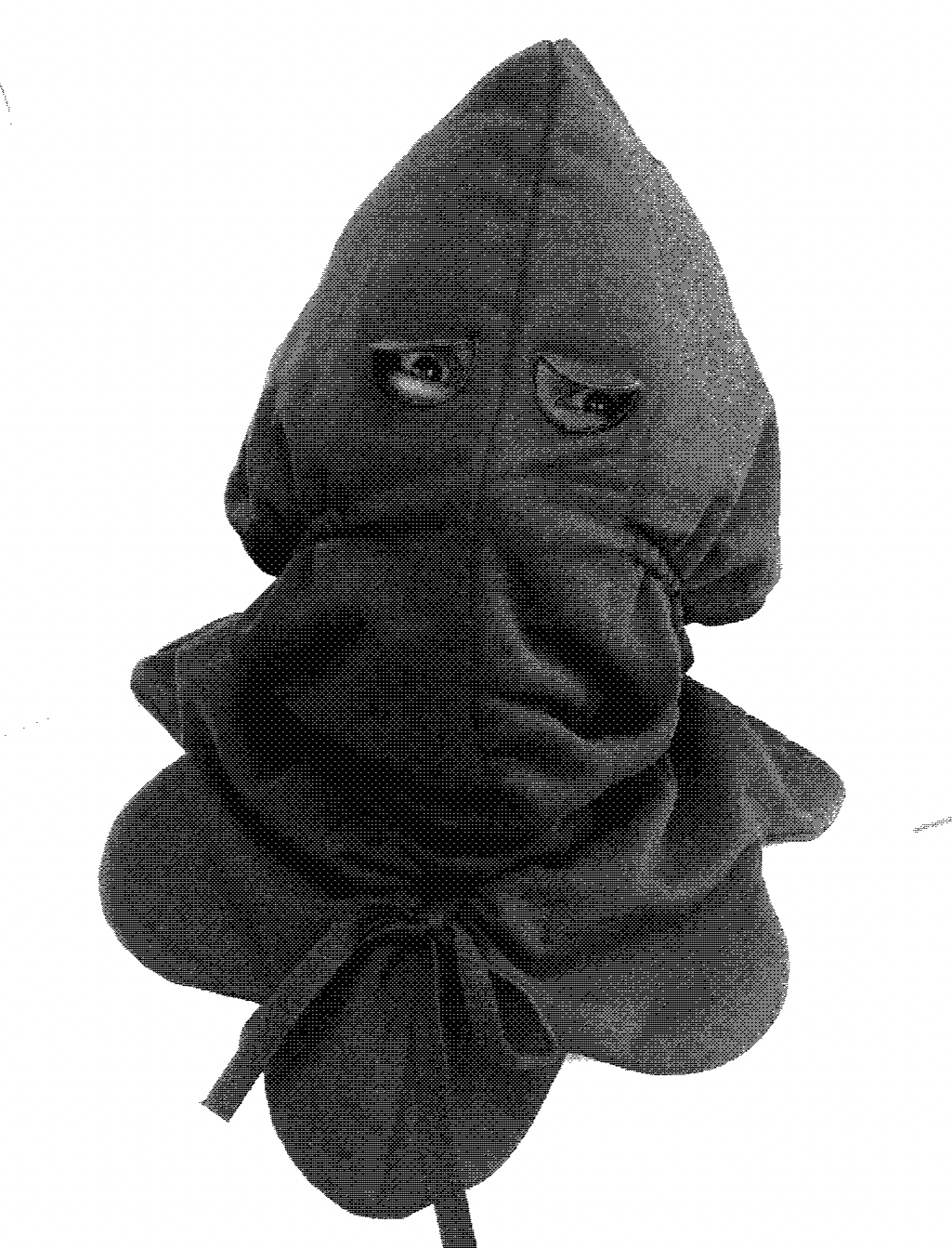 GOSPEL ESTUDIOS: Module carousel (Fig. 1)