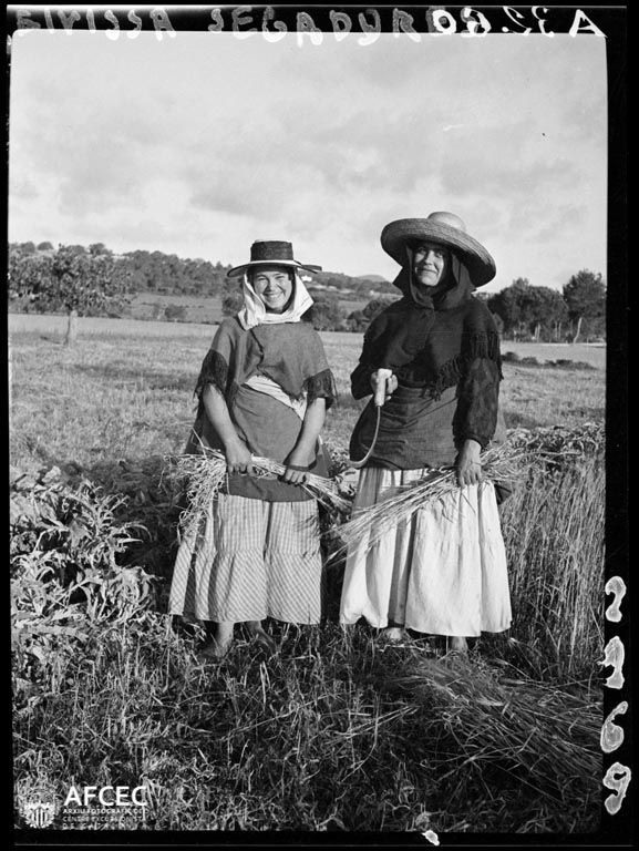 GOSPEL ESTUDIOS: Espacios: La Isla Bonita (Fig. 1)