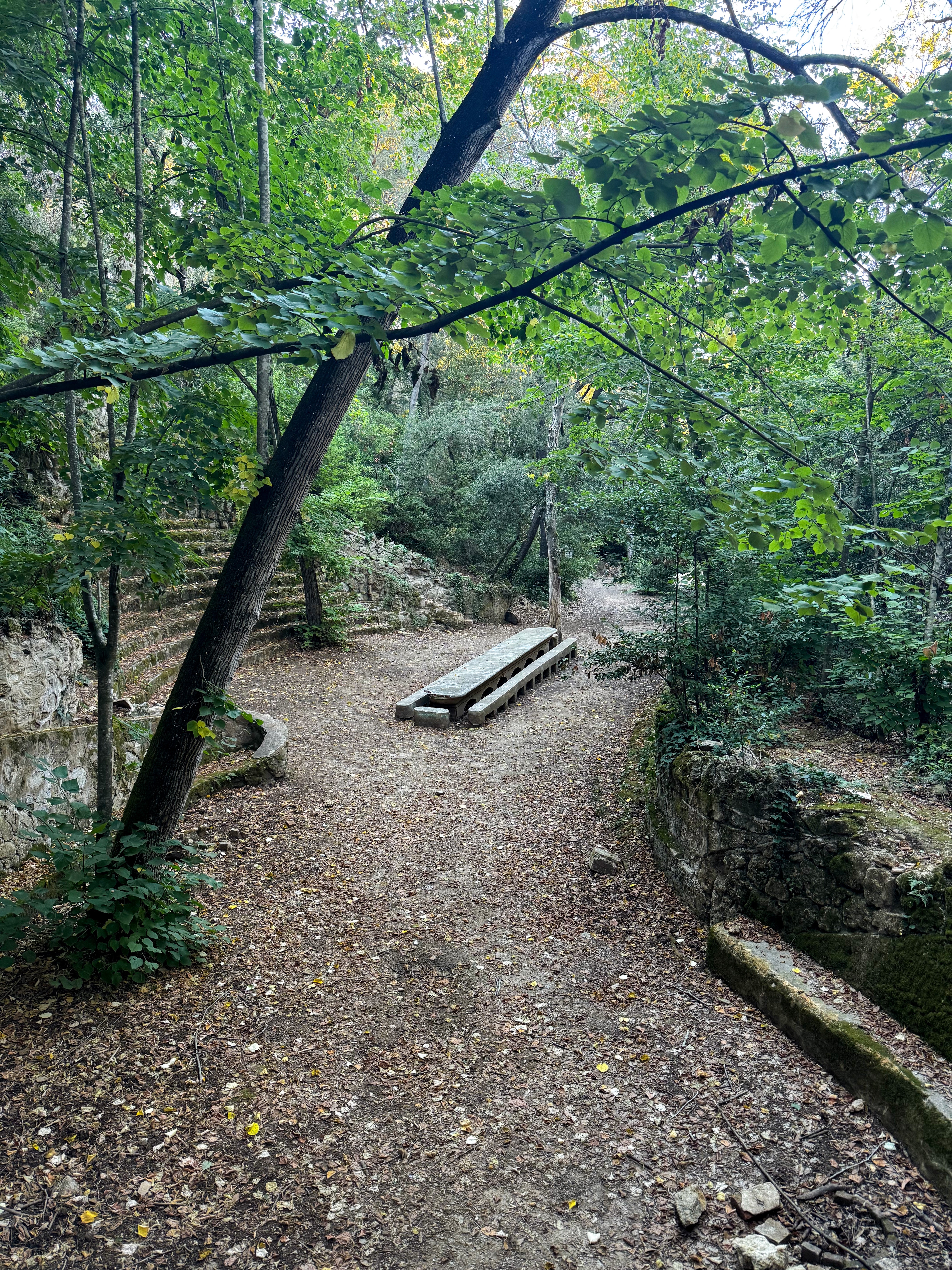 GOSPEL ESTUDIOS: PROLOGUE: GOSPEL ESTUDIOS X CURV® FONTADA (Fig. 2)