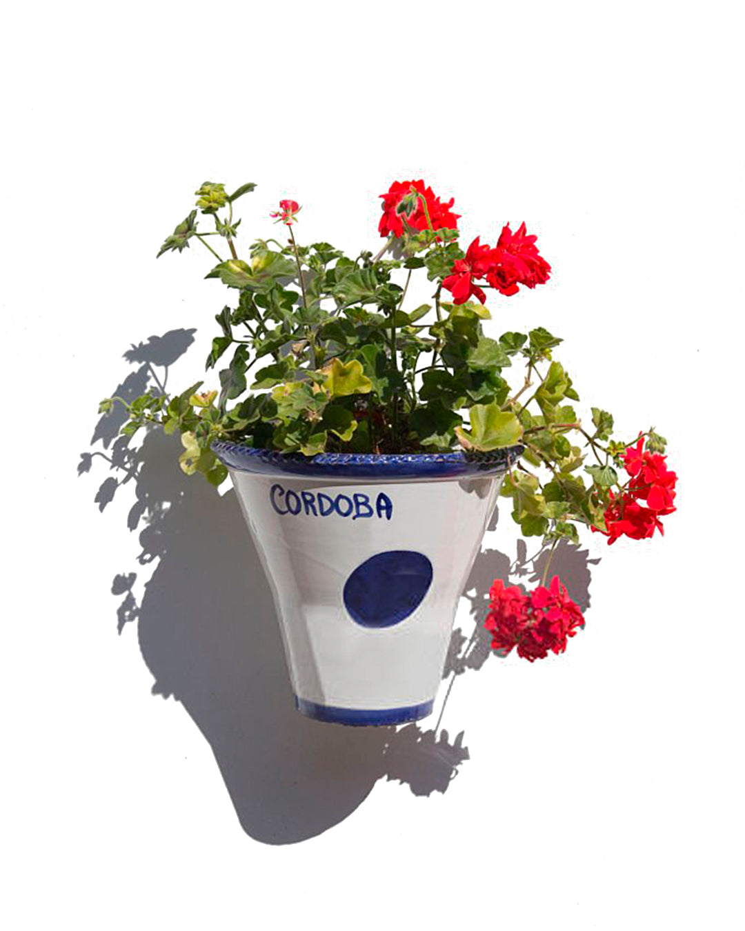 GOSPEL ESTUDIOS: Can Gospel / Patio (Fig. 1)