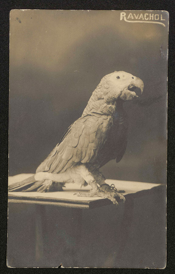 GOSPEL ESTUDIOS: EFEMÉRIDES: O ENTROIDO GALEGO (Fig. 1)