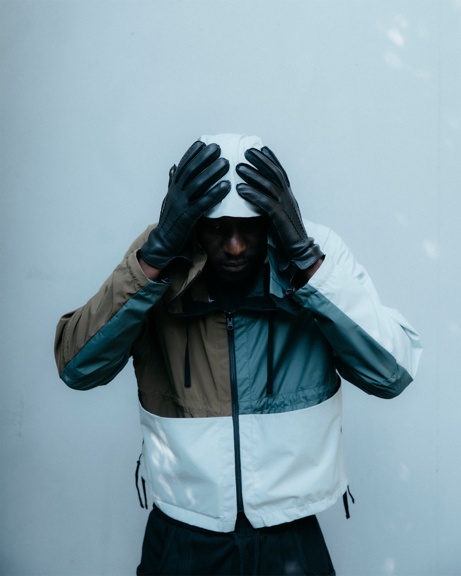 GOSPEL ESTUDIOS: Verse cinco (Fig. 1)