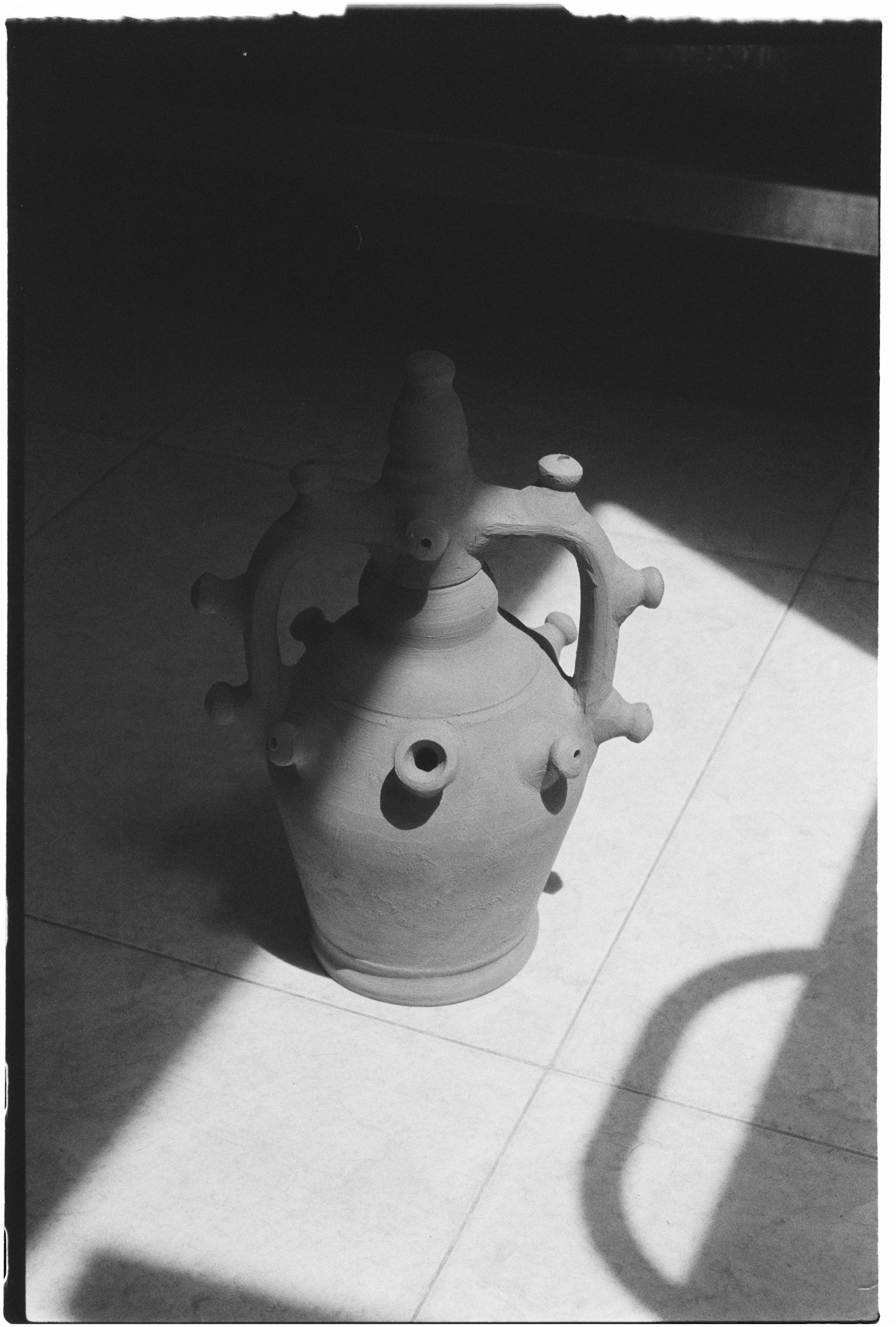 GOSPEL ESTUDIOS: Jaramago (Fig. 1)