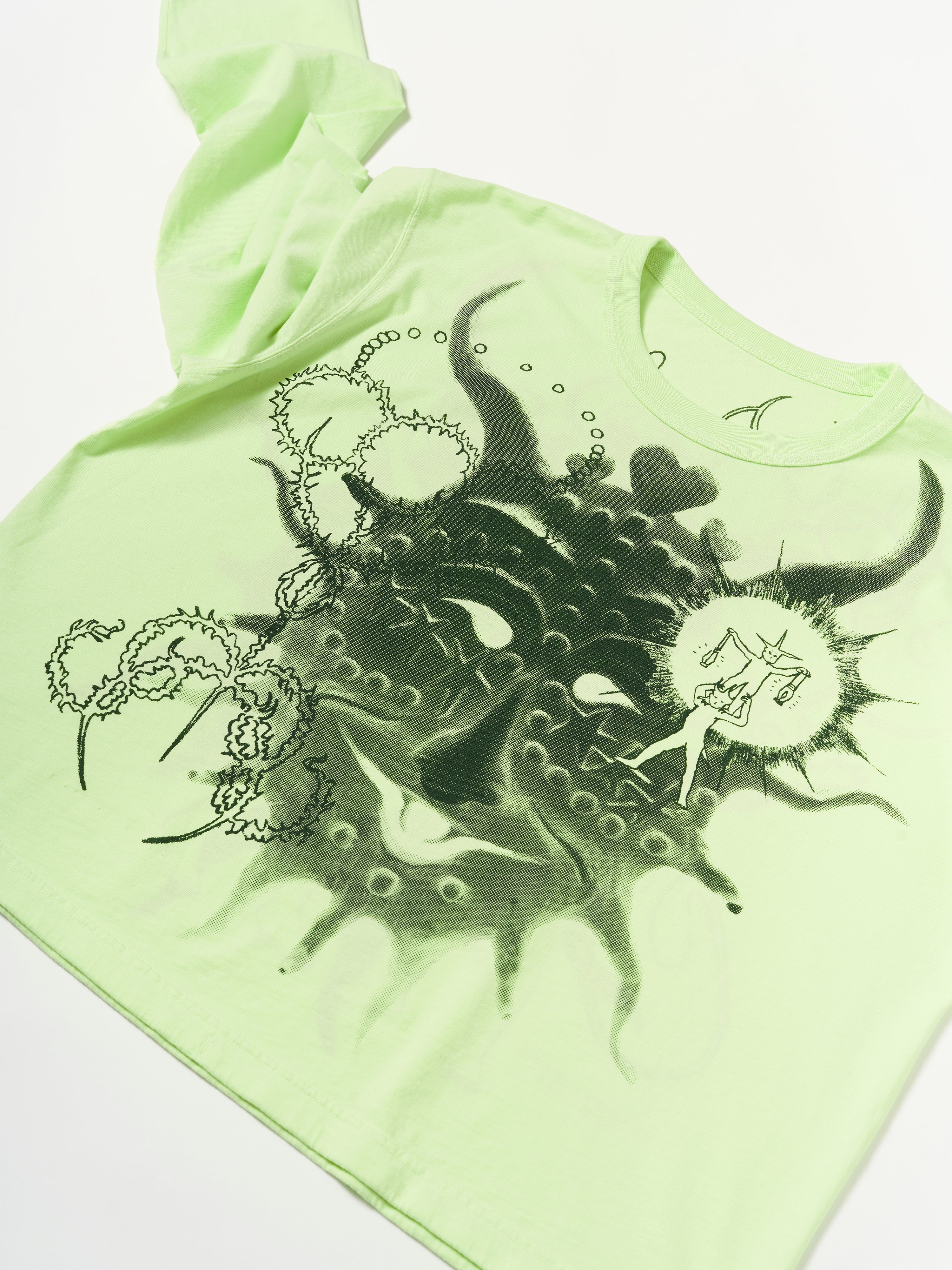 GOSPEL ESTUDIOS: TARASCA LIQUEN NADABIEN TOP (Fig. 1)