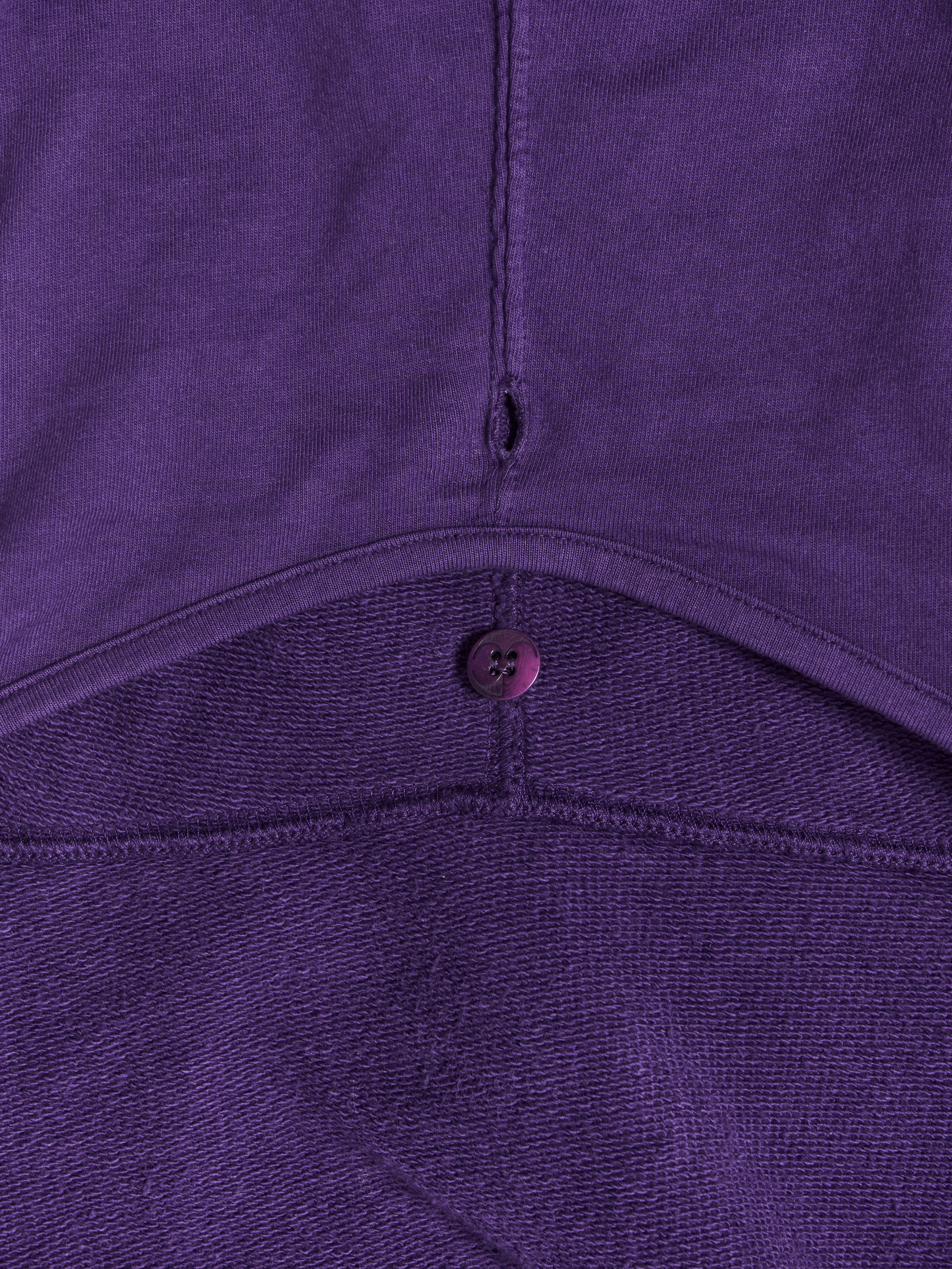 GOSPEL ESTUDIOS: TAUMATURGO ORQUÍDEA HOODIE (Fig. 1)