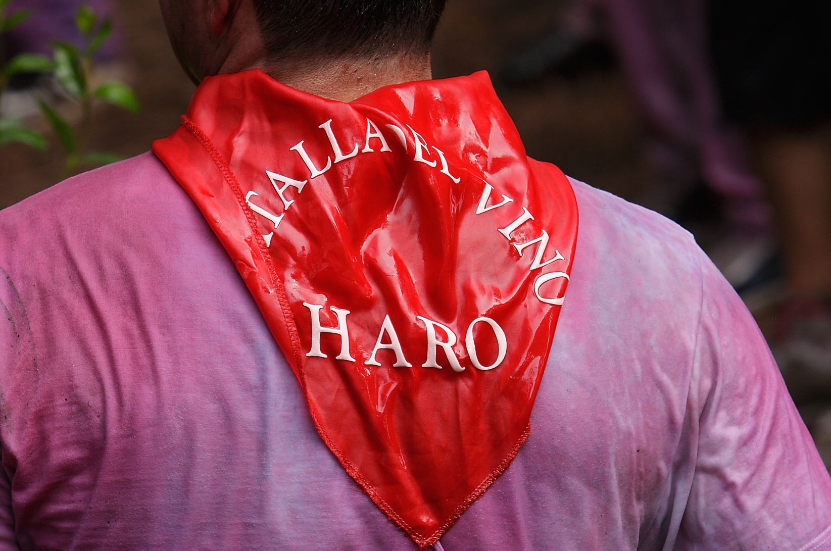 GOSPEL ESTUDIOS: Efemérides: La Batalla del vino de Haro (Fig. 1)