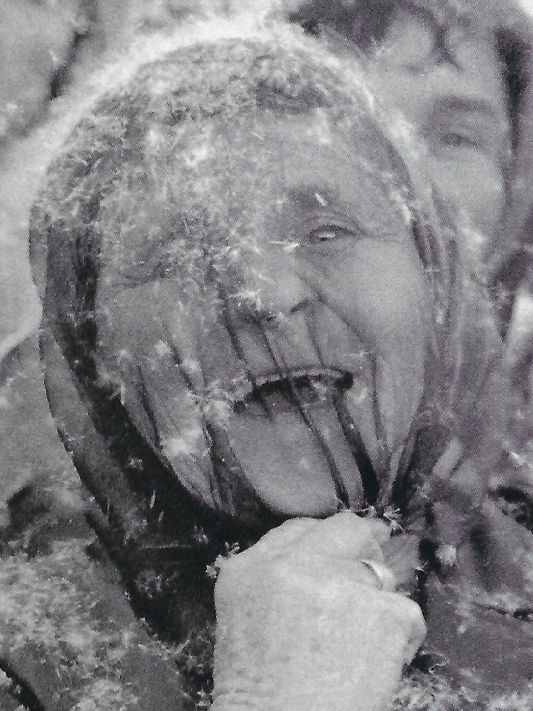 GOSPEL ESTUDIOS: Sistemas / Mascara sistema (Fig. 3)